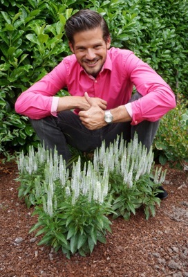 Veronica-Snow Candles_Garden