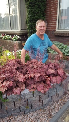 Heuchera-Plum Power_Breeder