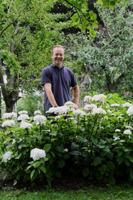 Hydrangea-Zebra_Breeder