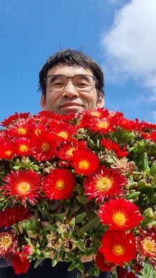 Delosperma Next Level Red